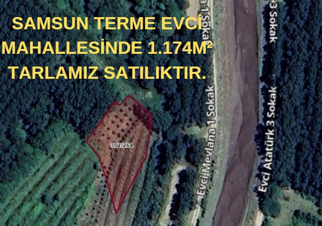 SAMSUN TERME EVCİ MAHALLESİNDE 1.174M²  TARLAMIZ SATILIKTIR. - SAMSUN TERME fotoğraf 5